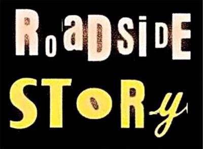 logo Roadside Story